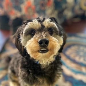 Meet your Posher, Sandra